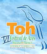 TOH 2007