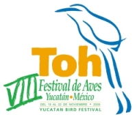 TOH 2008